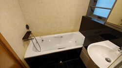 The Waterina (D14), Apartment #497045031